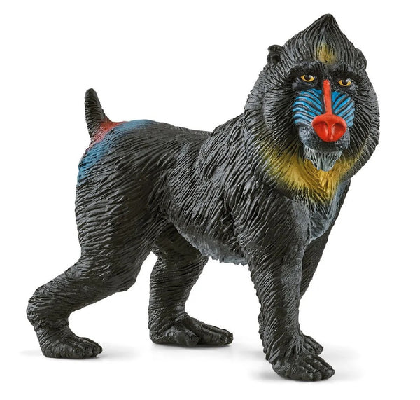 Schleich 14856 Mandrill Toy Animal Figurine, Plastic, Multi Color