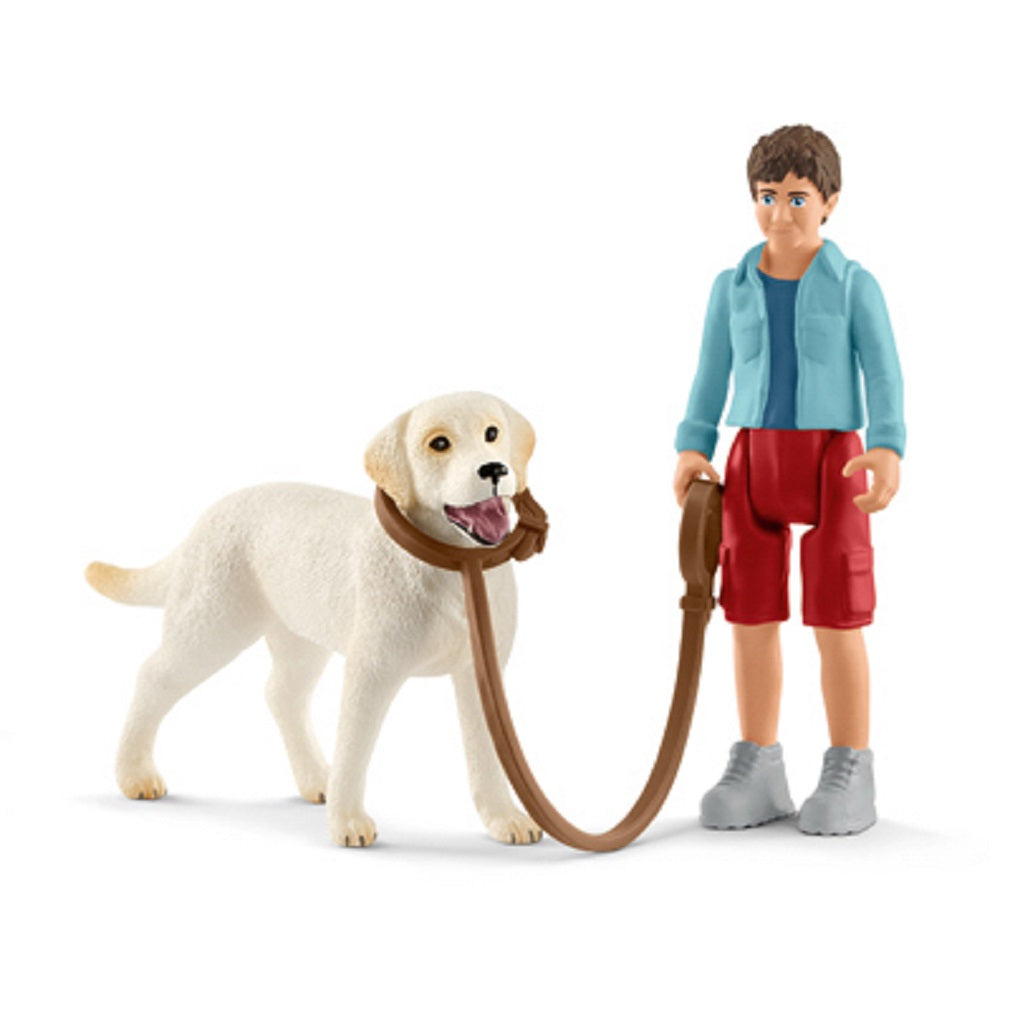 Schleich 42478 Walking With Labrador Toy, Assorted Color