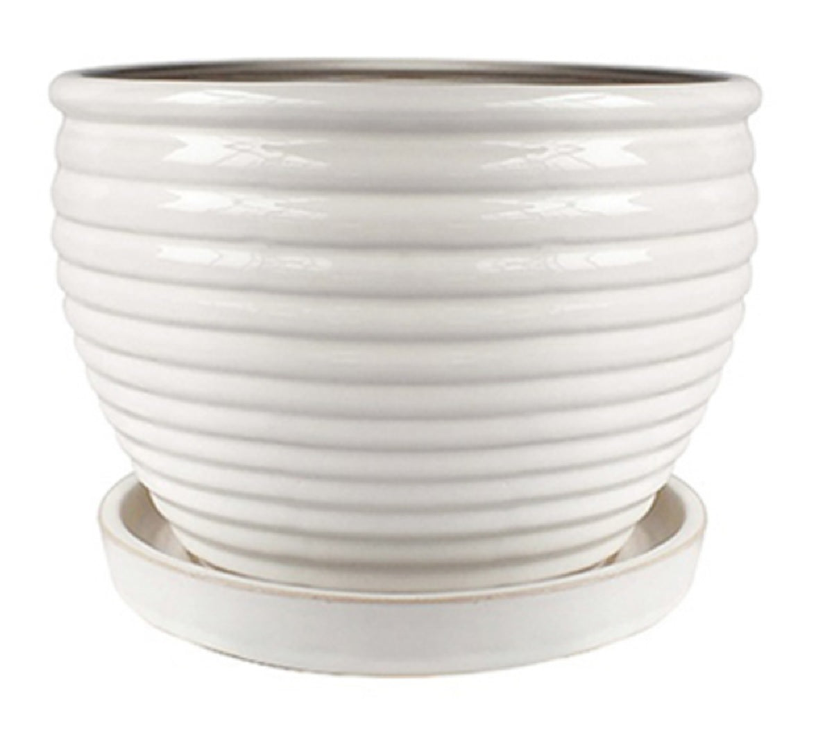 Trendspot Trendspot CR10479-06W Glazed Ceramic Honey Planter, Cream White ...