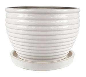 Trendspot CR10479-06W Glazed Ceramic Honey Planter, Cream White