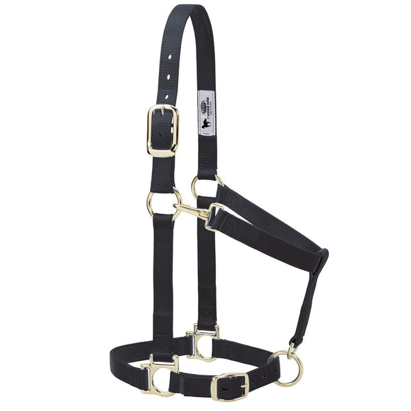 Weaver Leather 35-7435-BK Adjustable Horse Halter, Nylon