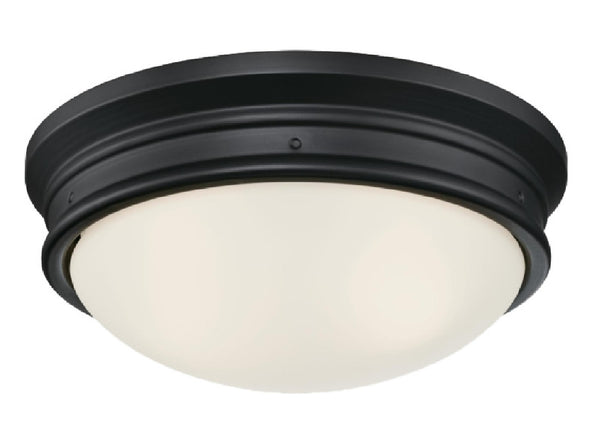 Westinghouse 63241 Flush Mount Ceiling Fixture, 120 VAC, 2-Lamp