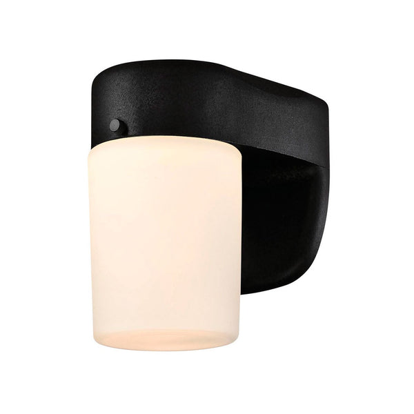 Westinghouse 61067 LED Dusk To Dawn Wall Light, 8 Watts, 120 Volts