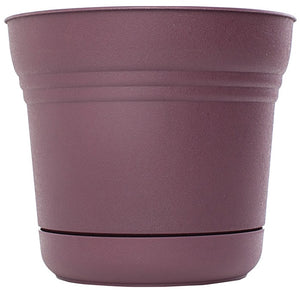 Bloem SP0529 Saturn Planter, Resin, 5", Passion Fruit