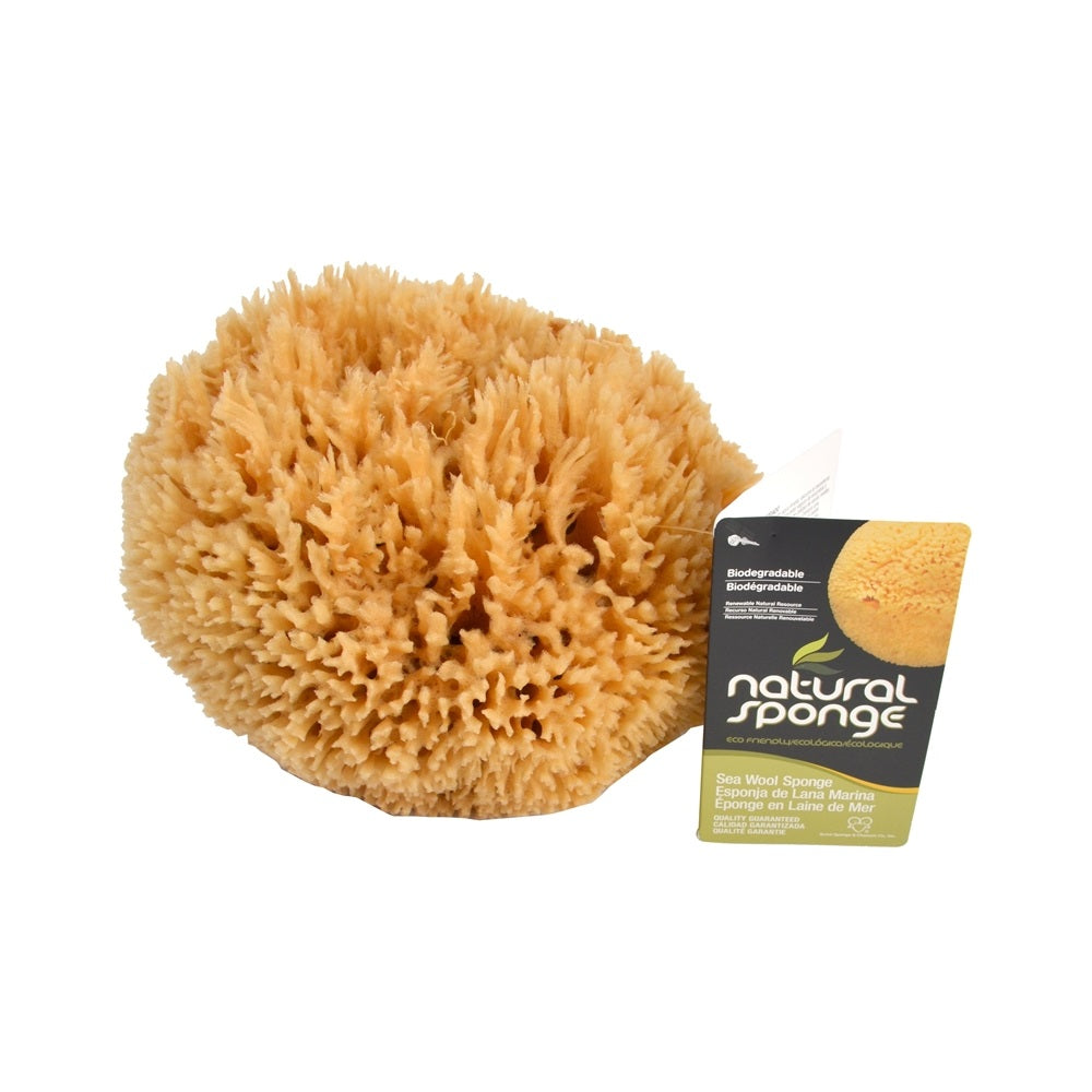 Armaly Proplus 81000 (SW#1-5060C) Seawool Sponge, 5" to 6", Natural