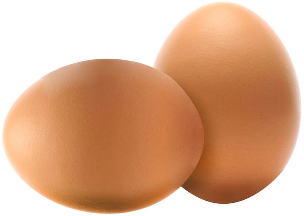 SummerHawk Ranch 33716 Training Nat Nest Eggs, Brown, 2/Pack