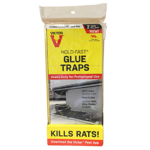 Victor M669 Hold-Fast Rat Glue Traps