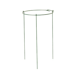 Gardener's Blue Ribbon PP1424 Single Peony Ring Plant Support, Green