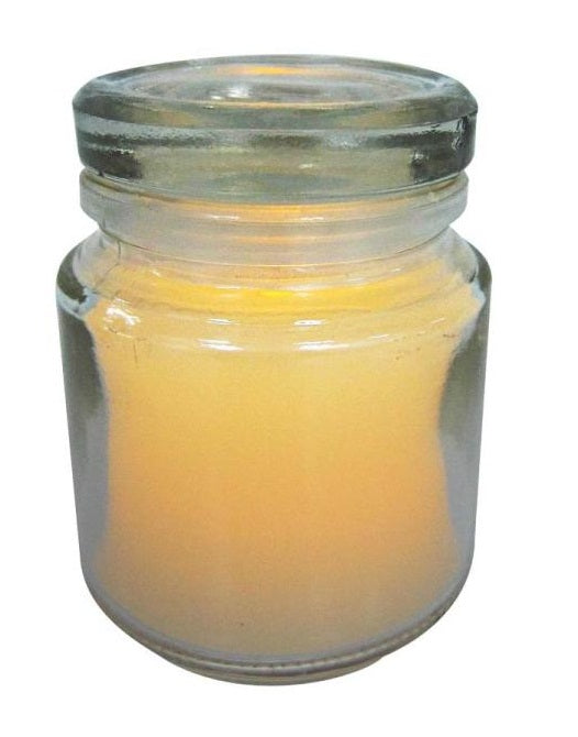 Holiday Basix E03392 LED Candle Jar, Small
