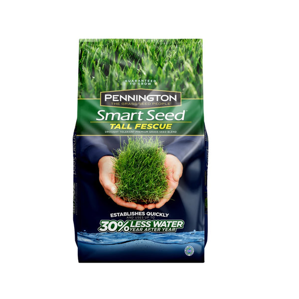 Pennington 100543722 Smart Seed Tall Fescue Grass Seed, 3 lbs