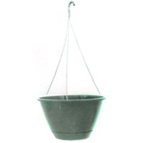Ames/True Temper EE1025FE Hanging Basket With Hanger, Fern