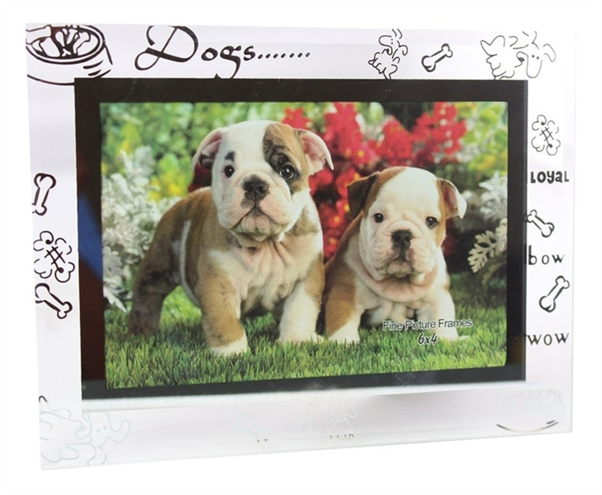 FLP 1047 Picture Frame, 4" x 6"