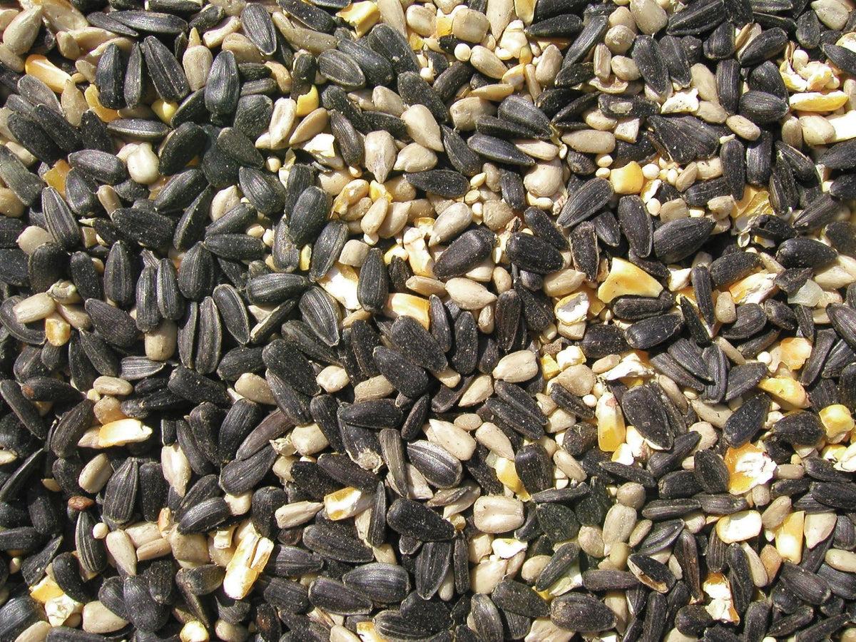 Cole's® BR05 Blue Ribbon Blend™ Bird Seed, 5 Lb