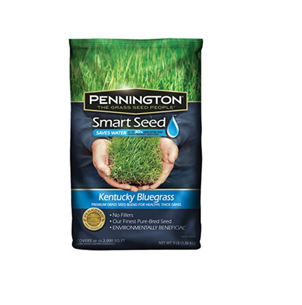 Pennington 100526631 Smart Seed Kentucky Bluegrass Seed, 3 lbs, 2000 sq-ft