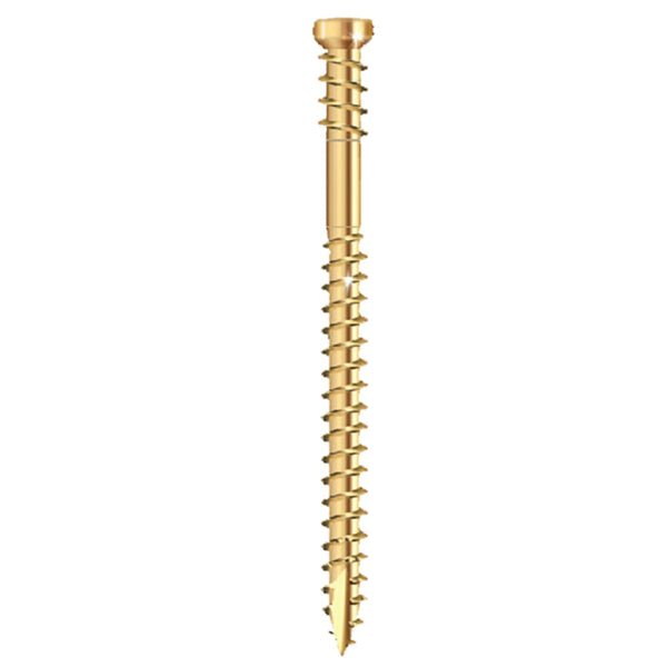 GRK Fasteners 119083 Star Drive Trim-Head RT Composite Finish/Trim Screw, #8 x 3-1/8"