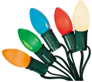 Santas Forest 03220/U00Z142I Hometown Holidays Christmas Light Set, 25 Lights