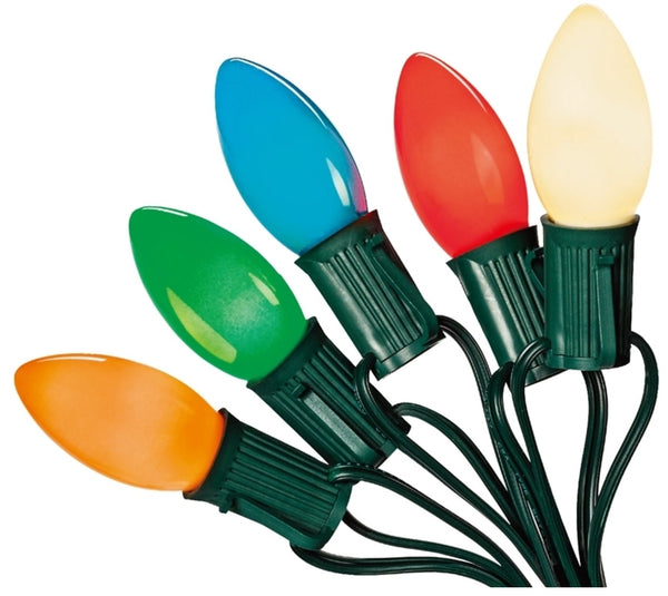 Santas Forest 03220/U00Z142I Hometown Holidays Christmas Light Set, 25 Lights