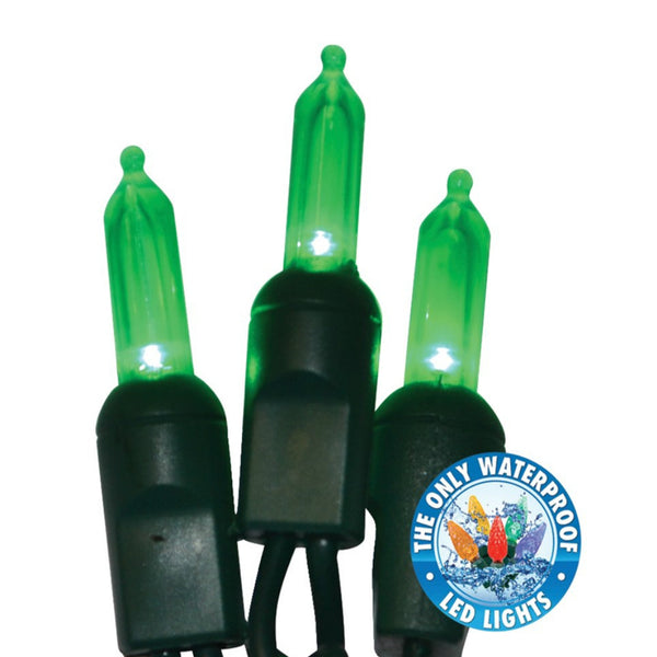 Holiday Bright Lights LEDBX-T550-GR6 Commercial/Contractor Grade LED Light Set, 50 Light
