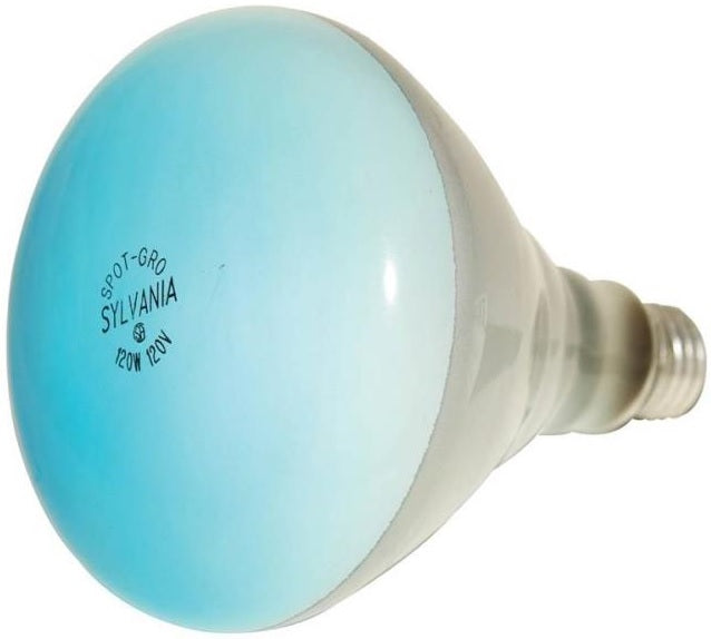 Sylvania 15836 Non-Dimmable Incandescent Lamp, 120 Watts, 120 Volts