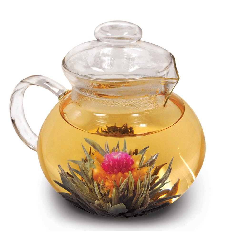 Primula PTA-3940 Classic Glass Teapot, 40 Oz.