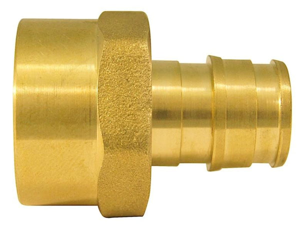 Apollo EPXFA1210PK Pipe Adapter, Brass, 1/2"