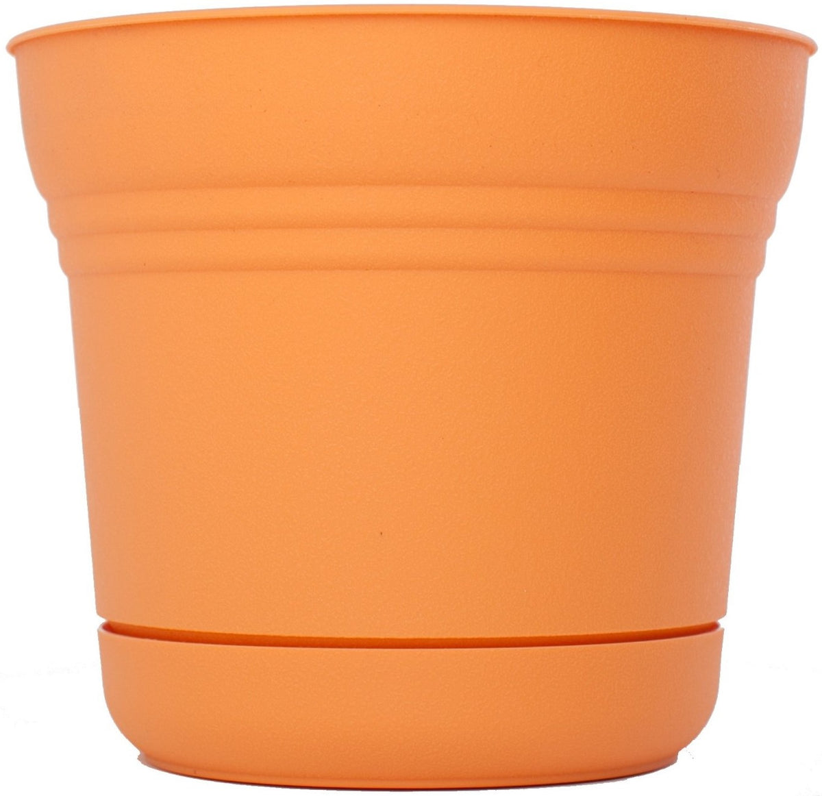 Bloem SP0720 Tequila Sunrise Saturn Planter, 7"