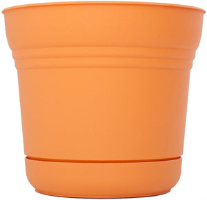 Bloem SP0720 Tequila Sunrise Saturn Planter, 7"