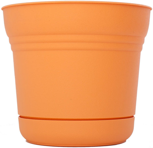 Bloem SP0720 Tequila Sunrise Saturn Planter, 7"