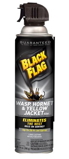Black Flag HG-11036 Wasp and Hornet Aerosol Spray, 14 Oz