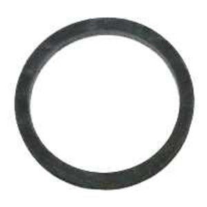 Chapin 1-2420 Comprs Sprayer Pump Gasket