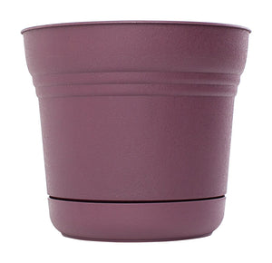 Bloem SP1429 Plastic Round Saturn Planter with Saucer, 14", Passion Fruit