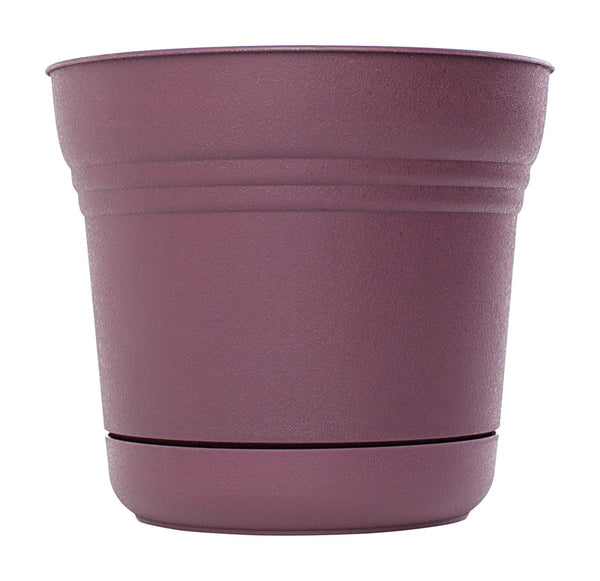 Bloem SP1429 Plastic Round Saturn Planter with Saucer, 14", Passion Fruit