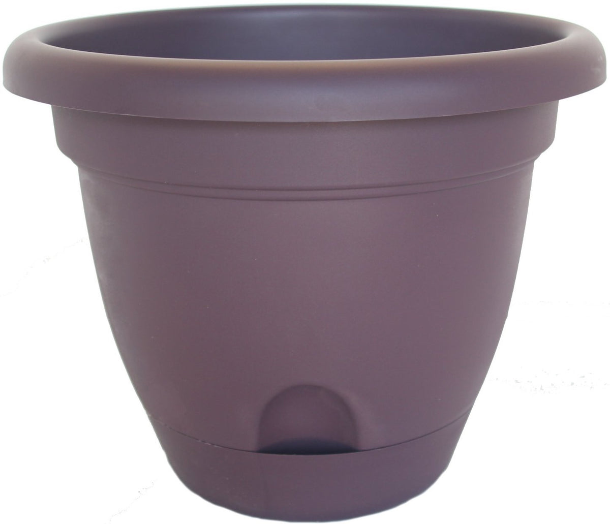 Bloem LP0856 Lucca Self-Watering Planter, 8", Exotica