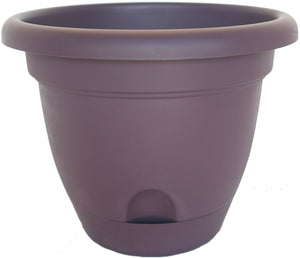 Bloem LP0856 Lucca Self-Watering Planter, 8", Exotica