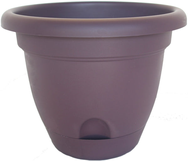Bloem LP0856 Lucca Self-Watering Planter, 8", Exotica