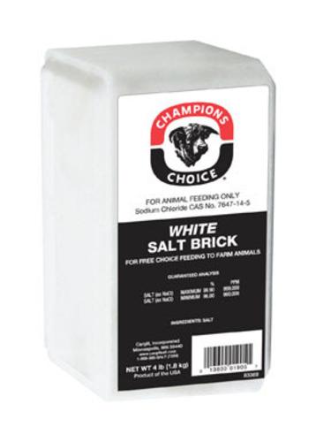 Champion 110005051 Salt Brick, White, 4 lbs