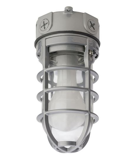 Lithonia Lighting OVT 150I 120 M6 Vapor Tight Incandescent Lamp, 150 Watts