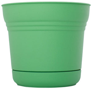 Bloem SP0725 Saturn Planter, Resin, 7", Honey Dew