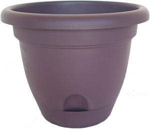 Bloem LP0656 Lucca Self-Watering Planter, 6", Exotica