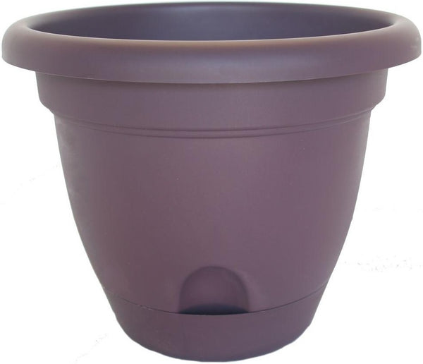 Bloem LP0656 Lucca Self-Watering Planter, 6", Exotica