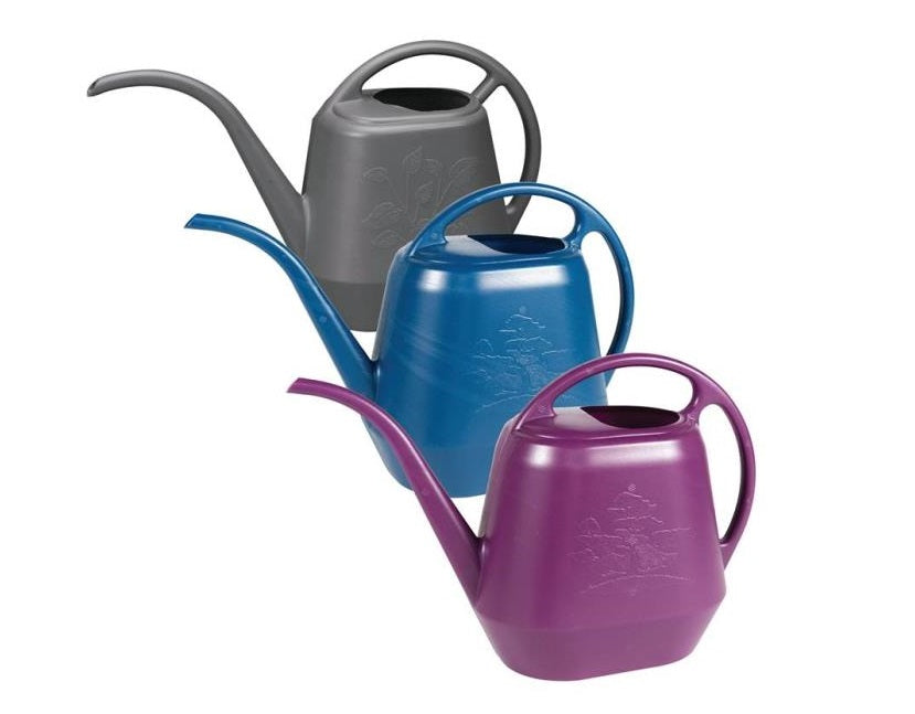 Bloem  AW21-ASST-6 Aqua-Rite Watering Can, 56 Oz