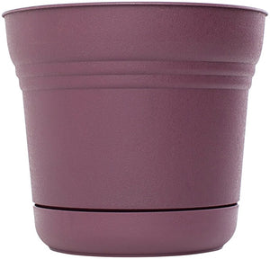 Bloem SP1029 Saturn Planter, 10", Passion Fruit