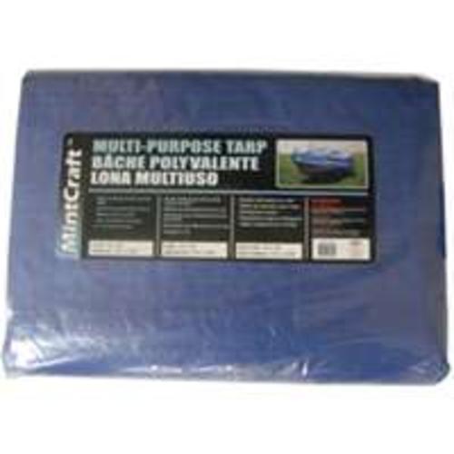 ProSource T0608BB90 Storage Cover Tarp, Polyethylene