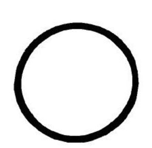 Chapin 1-2531-1 Compression Sprayer Viiton O-Ring Gasket