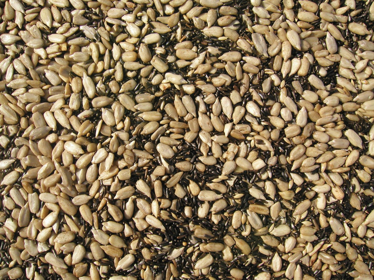 Cole's® FF05 Finch Friends™ Bird Seed, 5 Lb