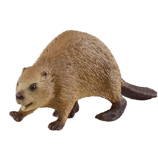 Schleich-S 14855 Wild Life Animal Toy, Beaver, 3 to 8 Years