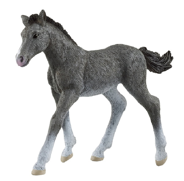 Schleich-S 13944 Horse Club Animal Toy, Trakehner Foal