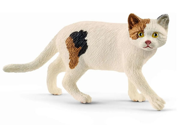 Schleich 13894 American Shorthair Cat Toy Animal Figurine, Multi Color