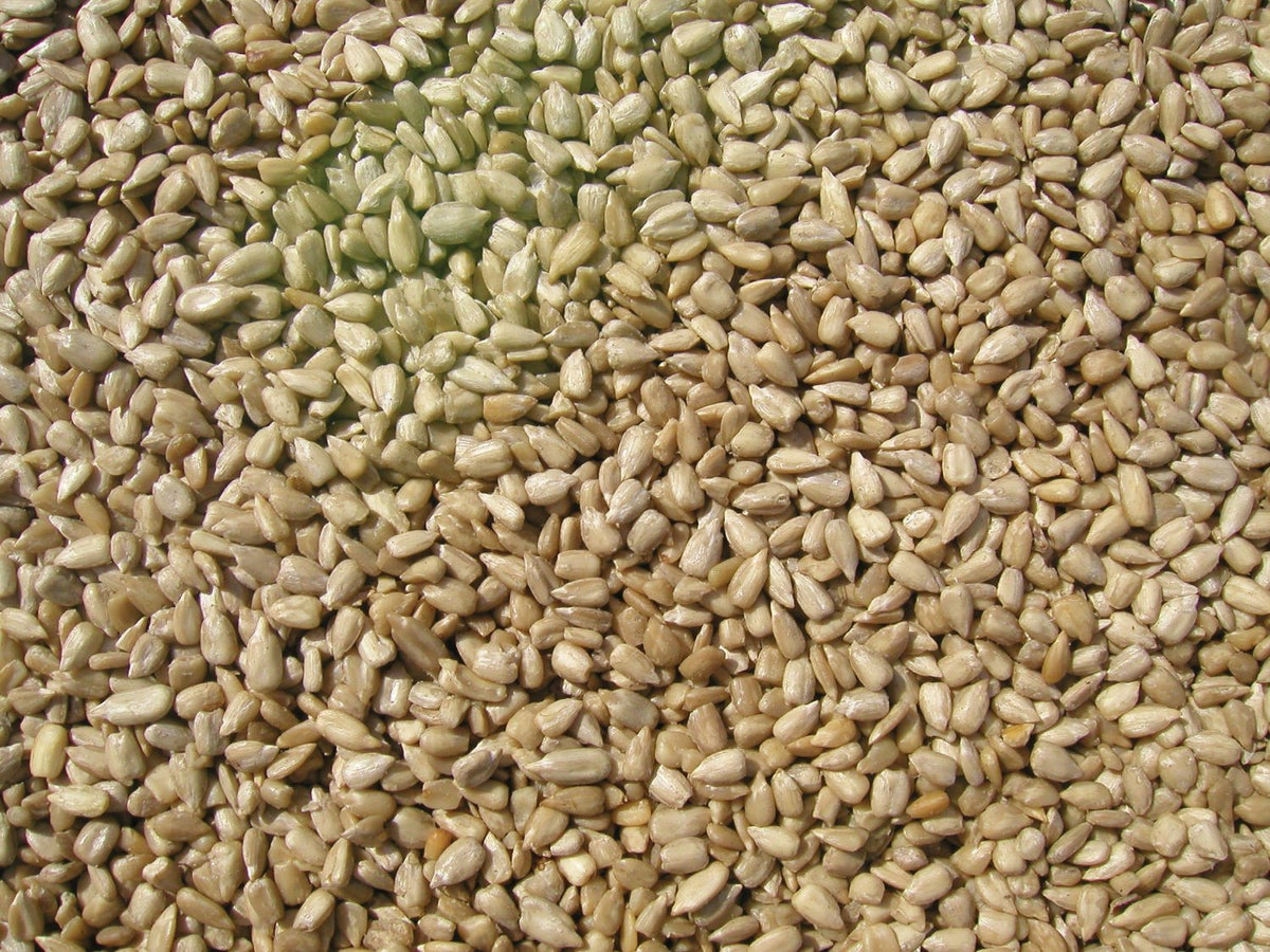 Cole's SM10 Wild Bird Food, 10 Lb